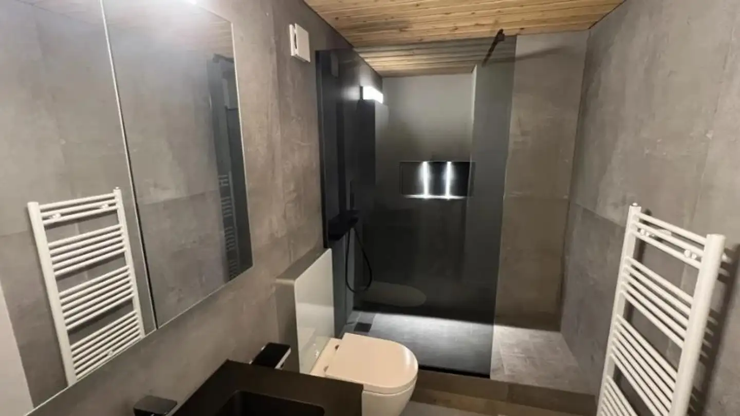 Apartment for rent - Rue de l'Hôtel-de-Ville 5, 2740 Moutier - Photo 4
