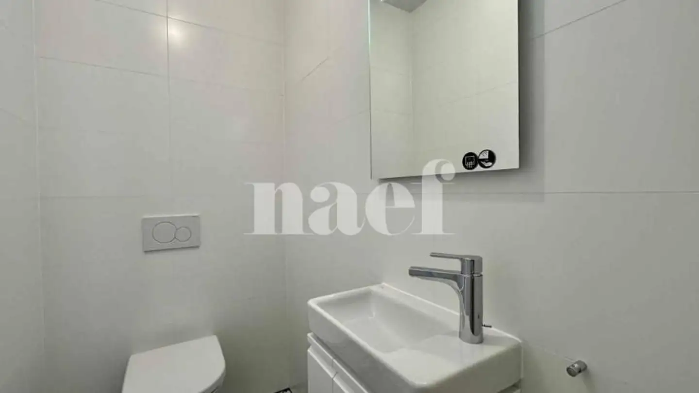 Wohnung mieten - Chemin Jeanne-Lavergnat 6, 1256 Troinex - Foto 3