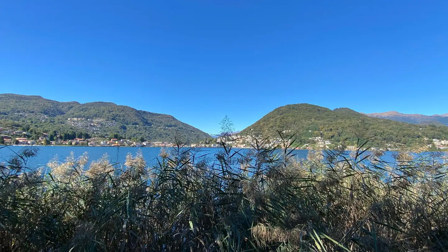 Villa à vendre - 6987 Caslano - Photo 3
