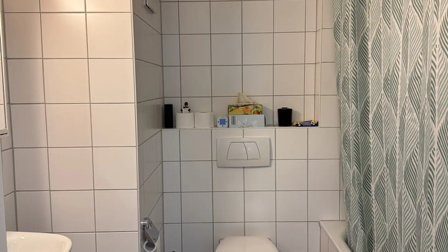 Appartement à louer - Dennlerstrasse 25, 8047 Zürich - Photo 3