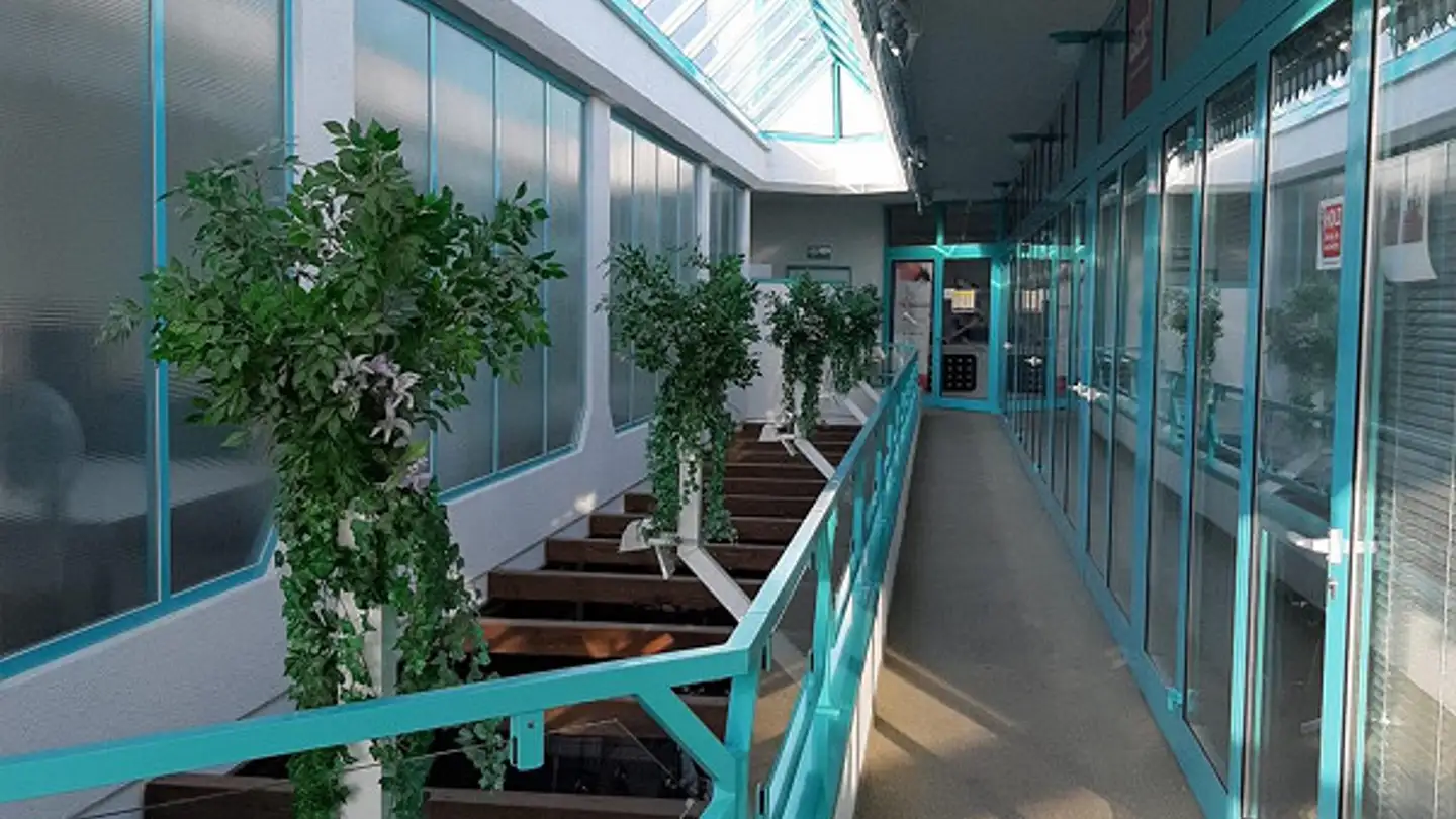 Commercial à louer - Tösstalstrasse 14, 8360 Wallenwil - Photo 3