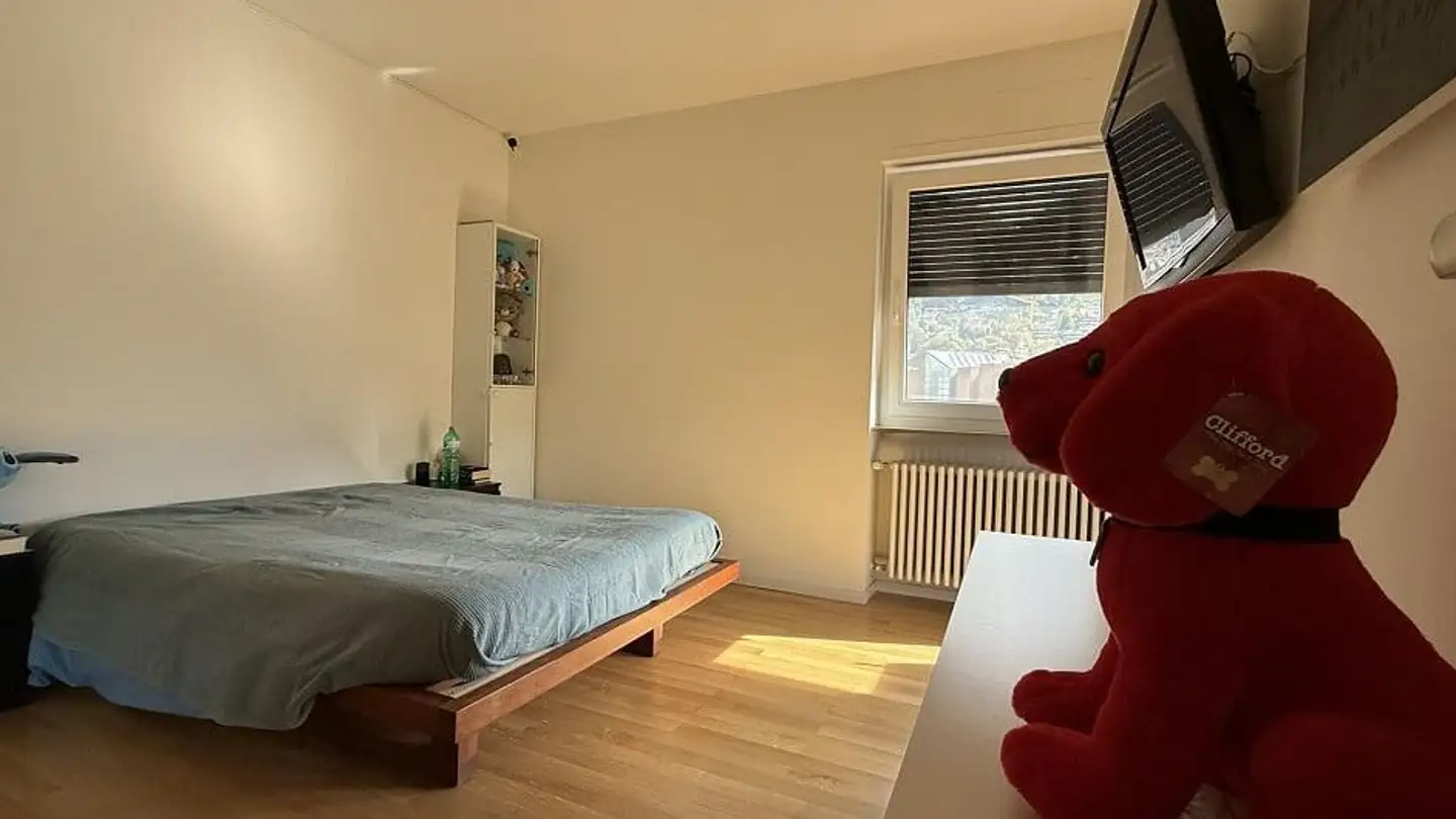 Attic flat for sale - Via Al Chioso 30, 6900 Lugano - Photo 4