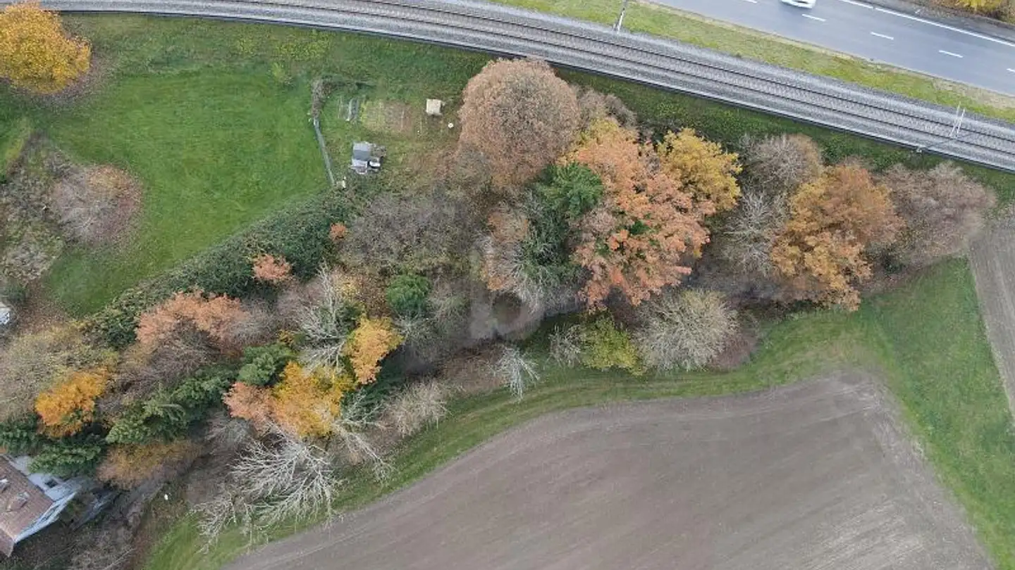 Gewerbe kaufen - 4950 Huttwil - Foto 4