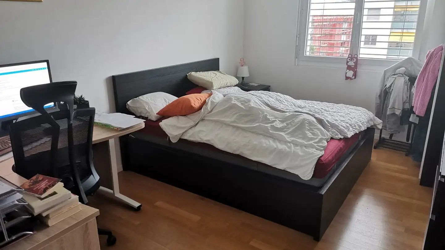 Appartamento in affitto - 6600 Muralto