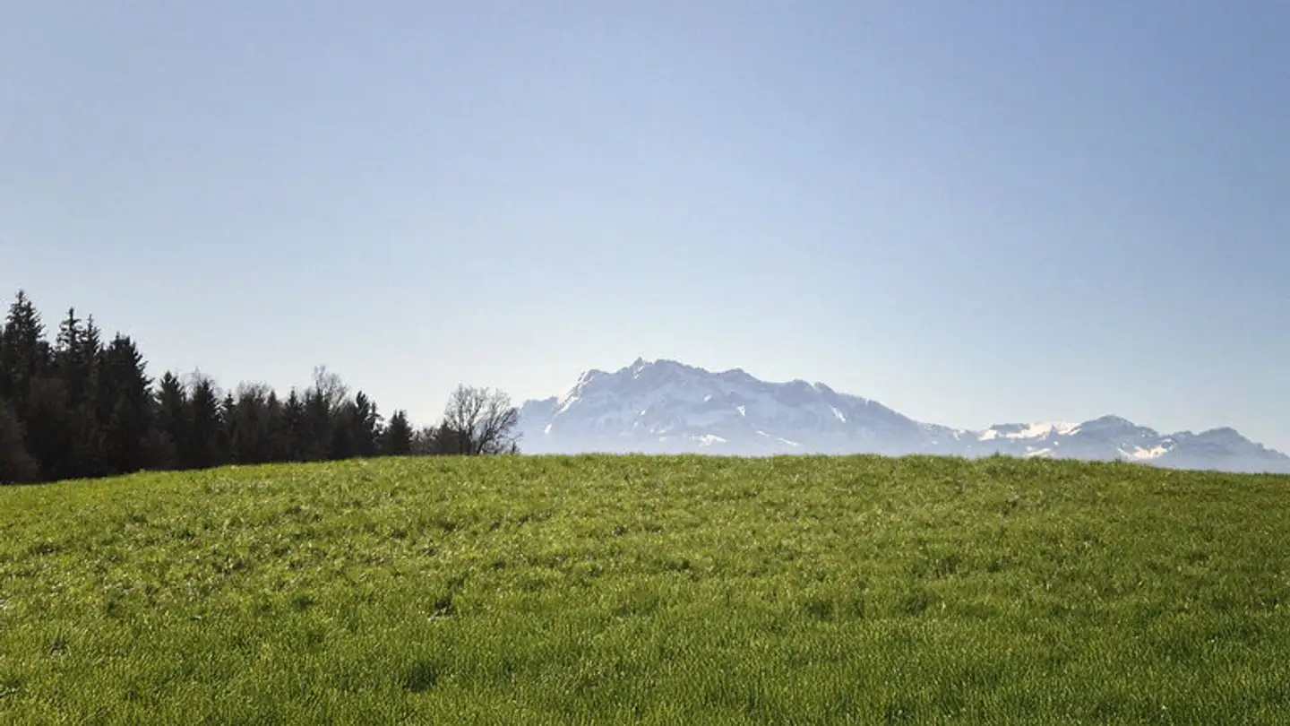 Appartement à vendre - 6274 Eschenbach LU - Photo 3