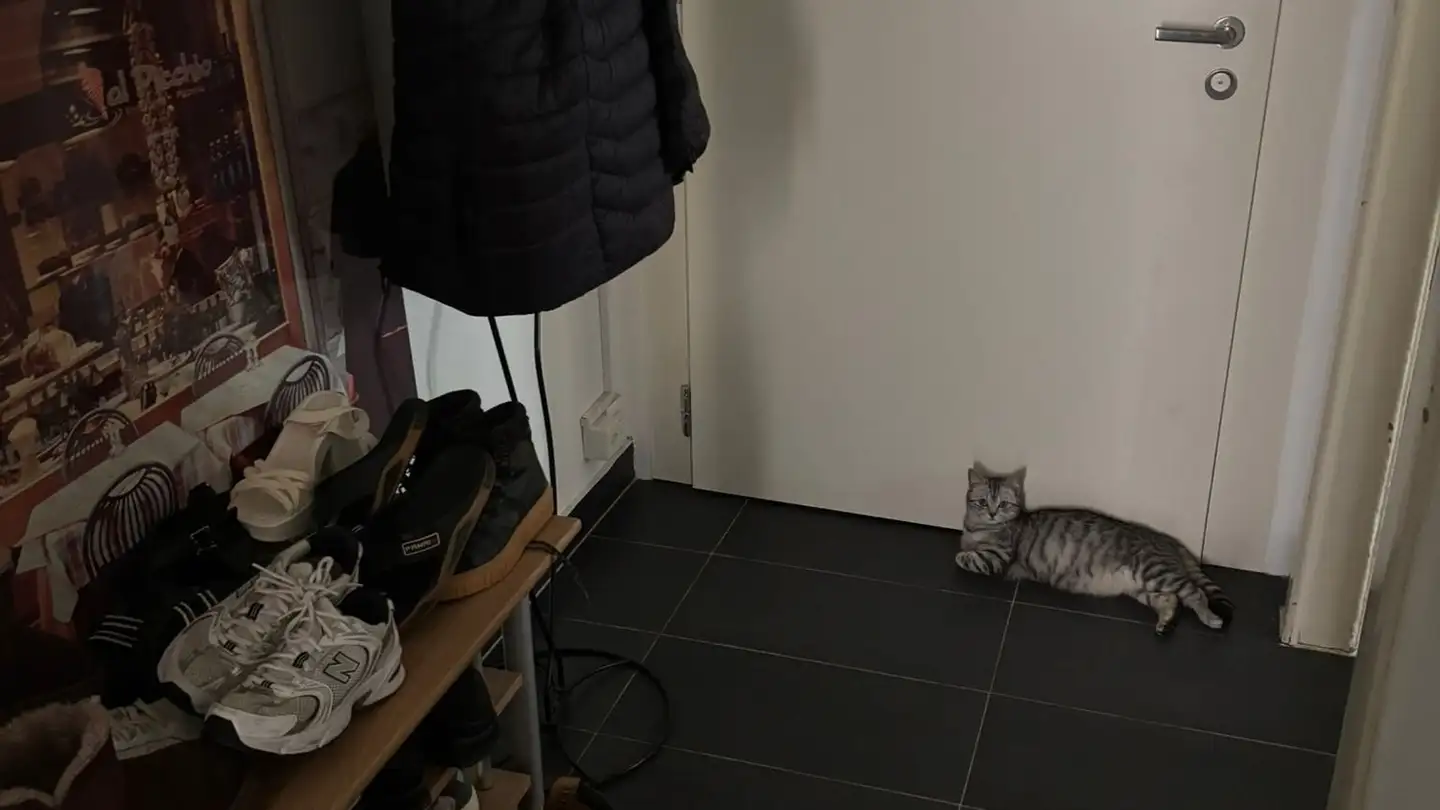 Appartement à louer - Avenue De Tivoli 24, 1007 Lausanne - Photo 2