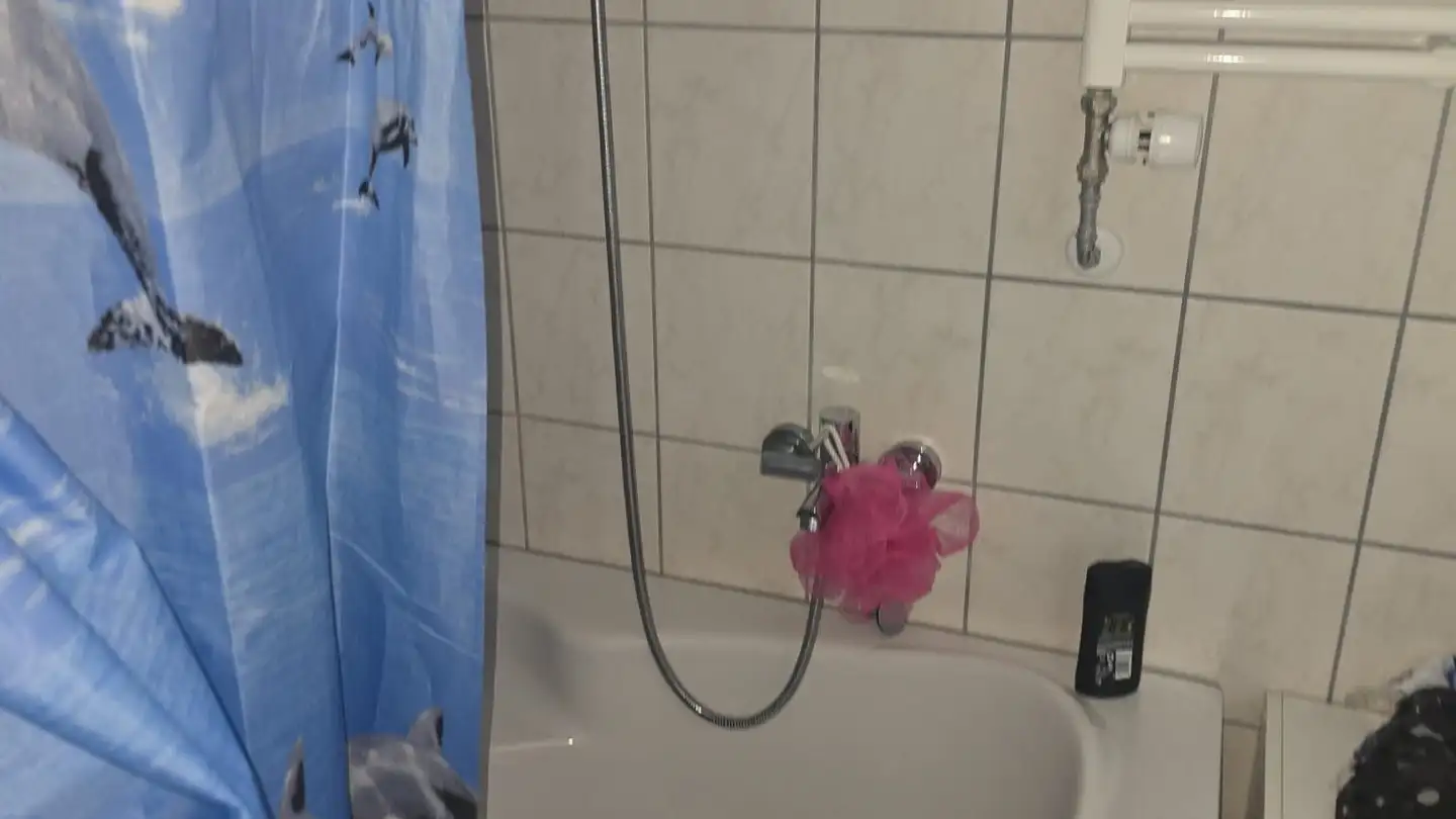 Appartamento in affitto - Delsbergerstrasse 117, 4242 Laufen - Foto 3