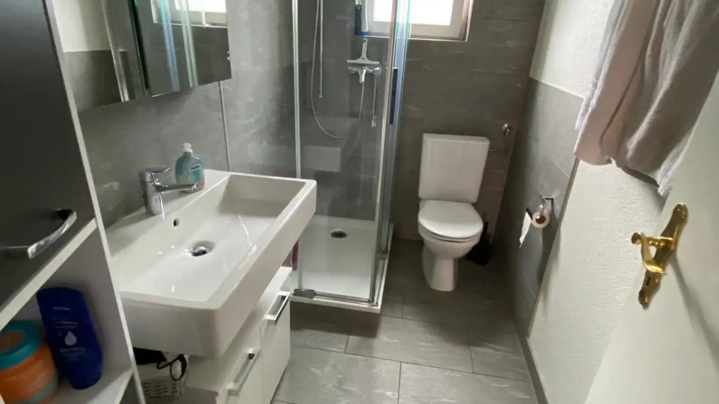 Single house for rent - Zürcherstrasse, 8604 Volketswil - Photo 2