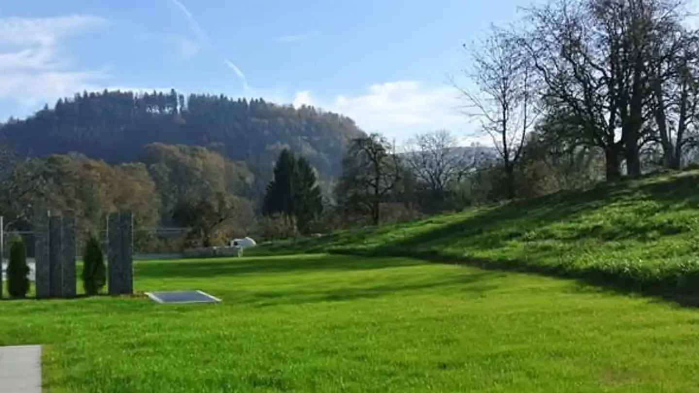Wohnung kaufen - Birchmatte 2, 6265 Roggliswil - Foto 3