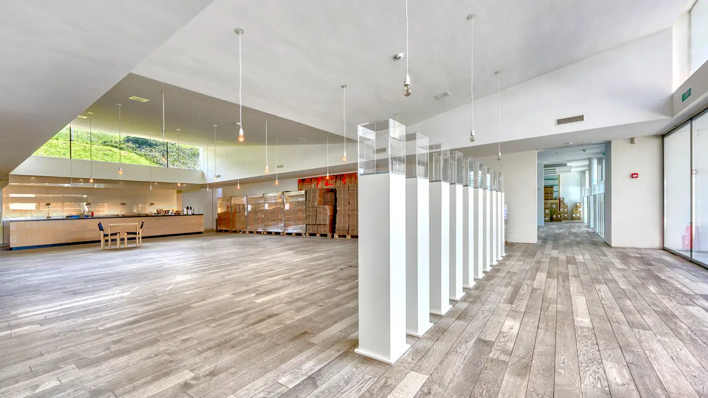 Terrain commercial à vendre - Kantonsstrasse 100, 6234 Triengen - Photo 3