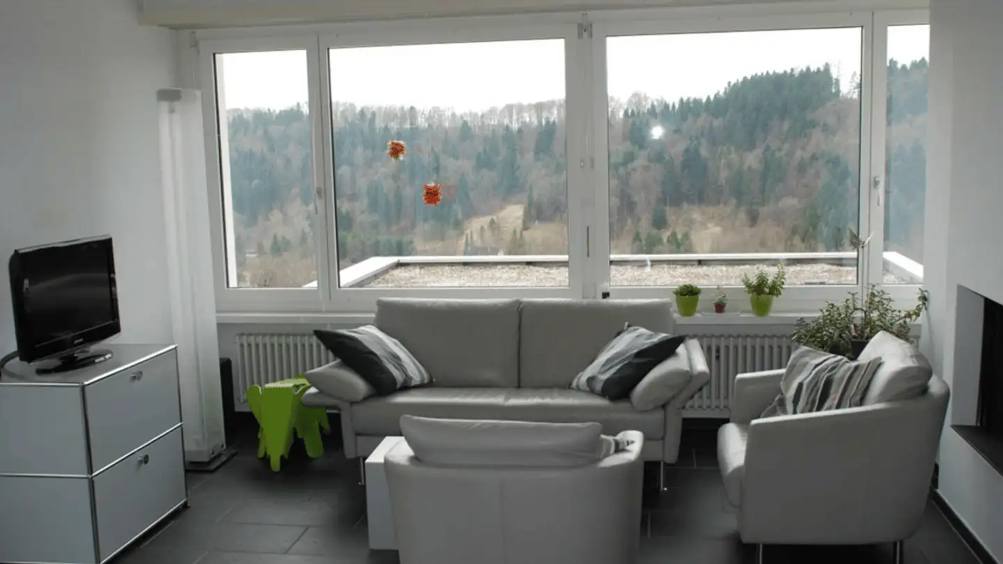 Appartamento a gradini in vendita - Räbacher 2, 8143 Stallikon - Foto 3