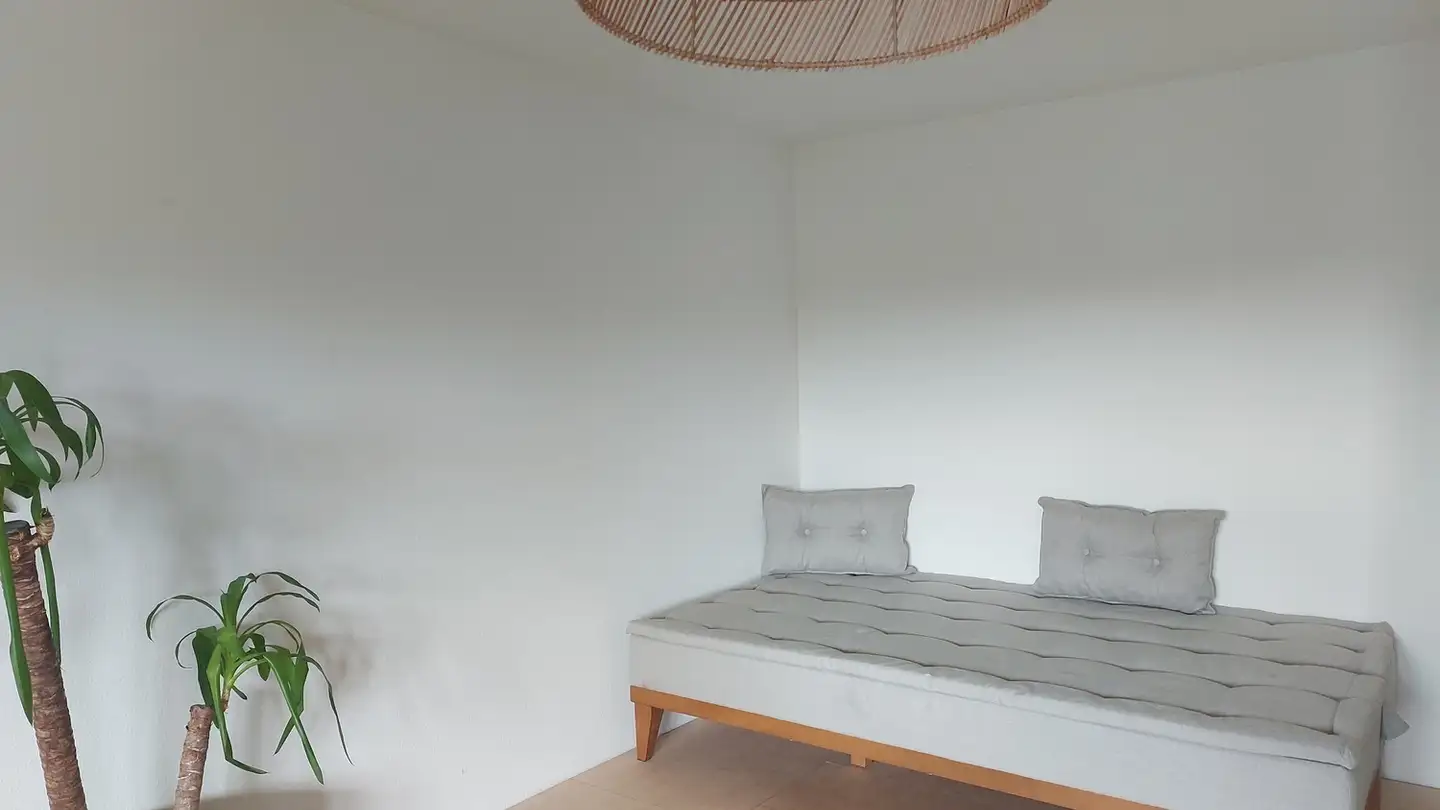 Appartamento in affitto - Liebenauweg, 6006 Luzern
