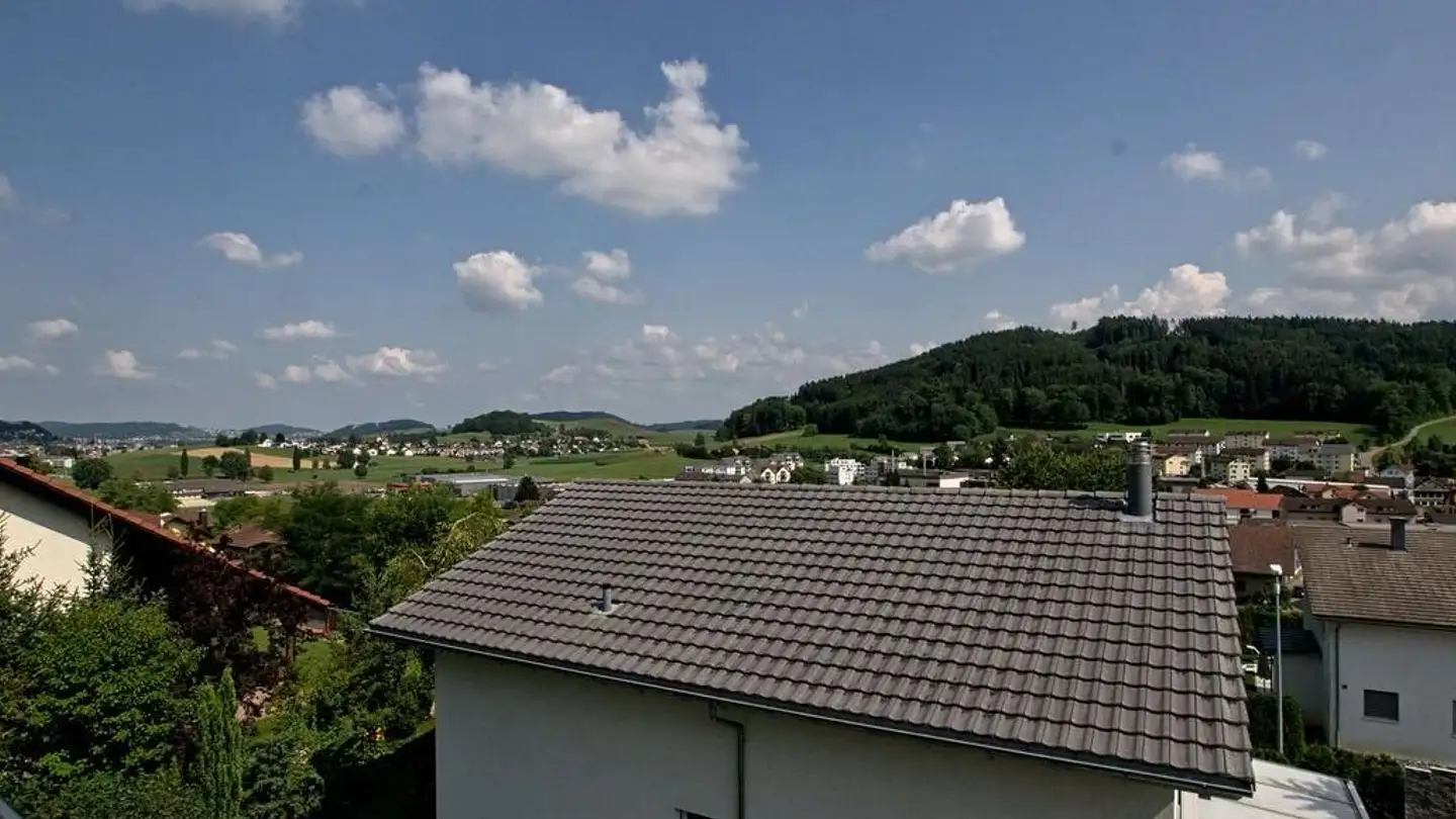 Maison individuelle à vendre - Haldenstrasse 15a, 8362 Balterswil - Photo 2