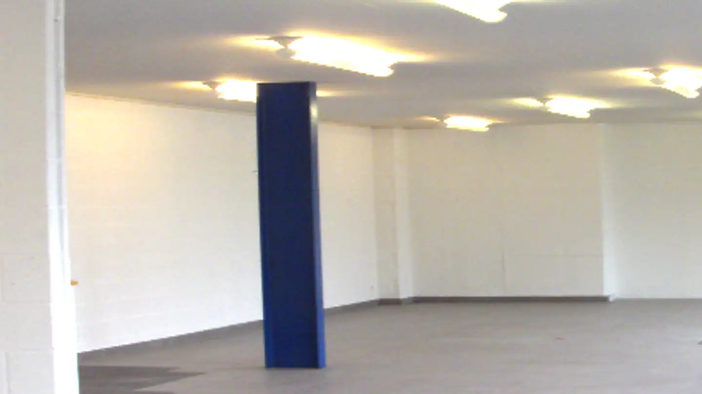 Commerciale in affitto - Motorenstrasse 34, 8620 Wetzikon ZH - Photo 4