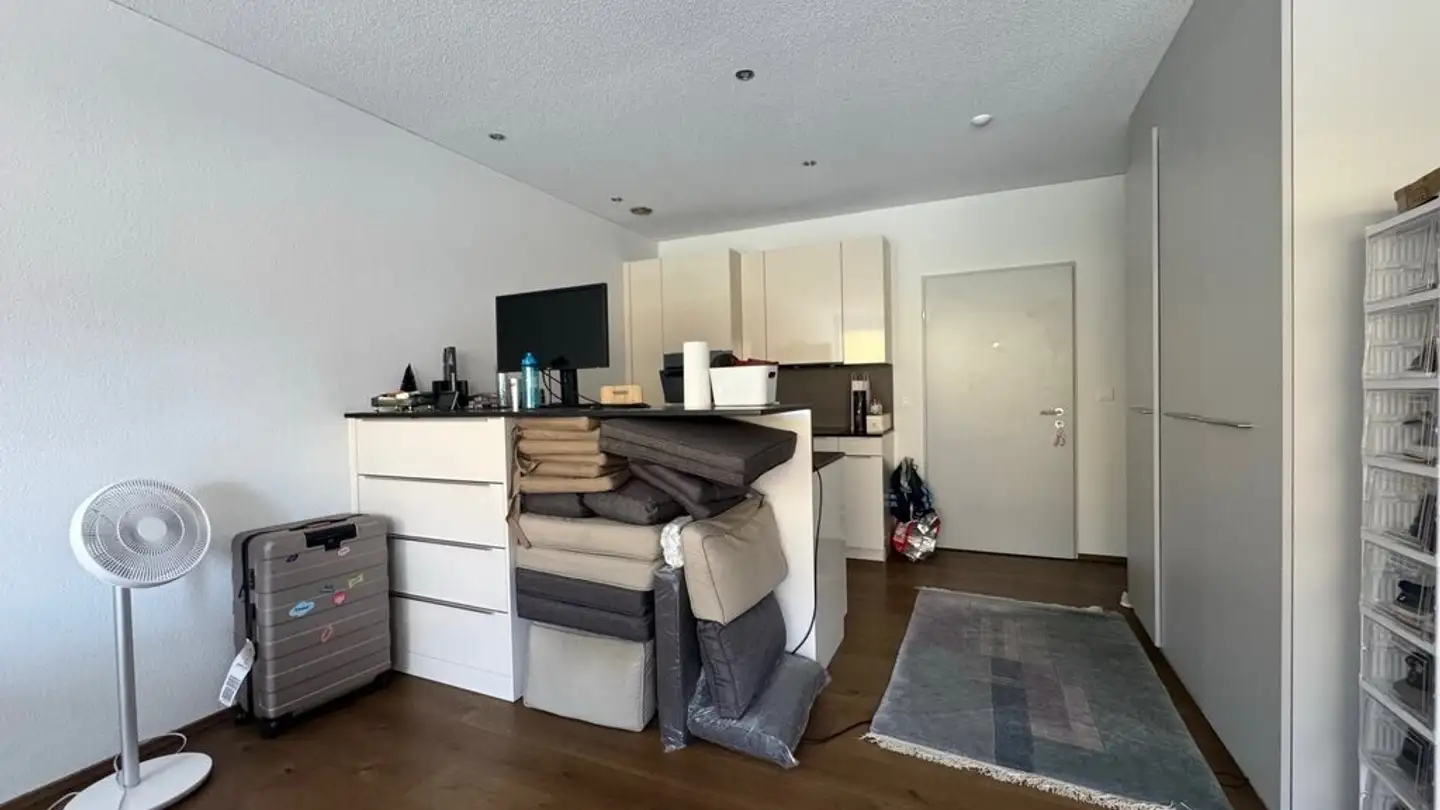 Appartamento in affitto - Moosstrasse 47, 8134 Adliswil - Photo 2