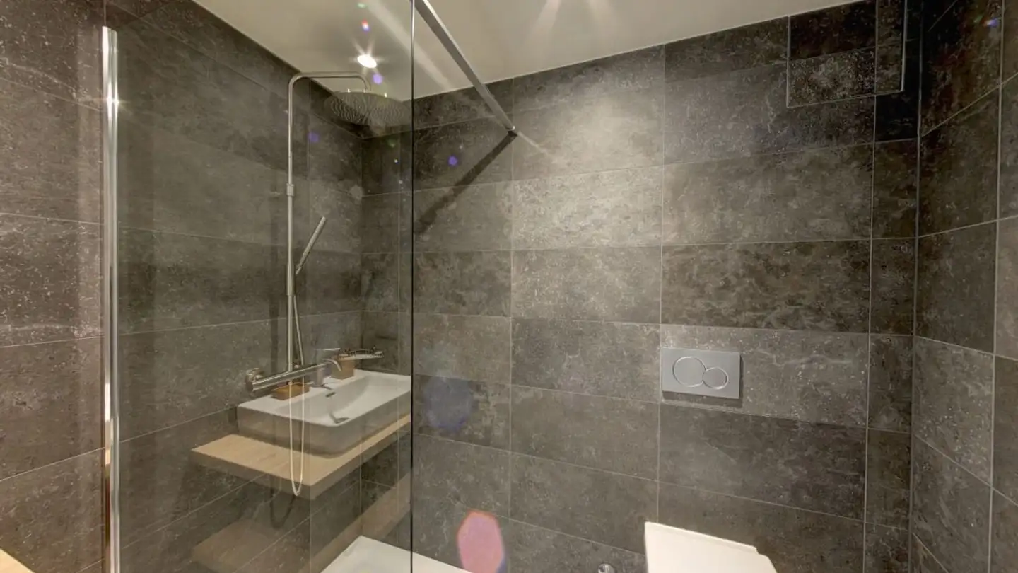 Appartement meublé à louer - Rue de Lausanne, 1202 Genève - Photo 4