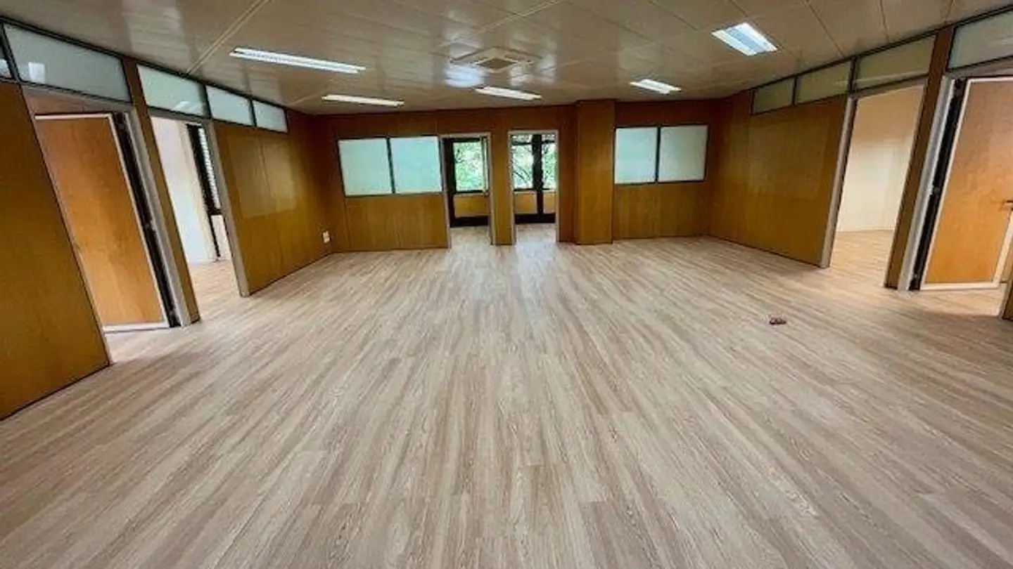 Spazio ufficio in affitto - Via Giuseppe Cattori, 6900 Paradiso - Photo 3