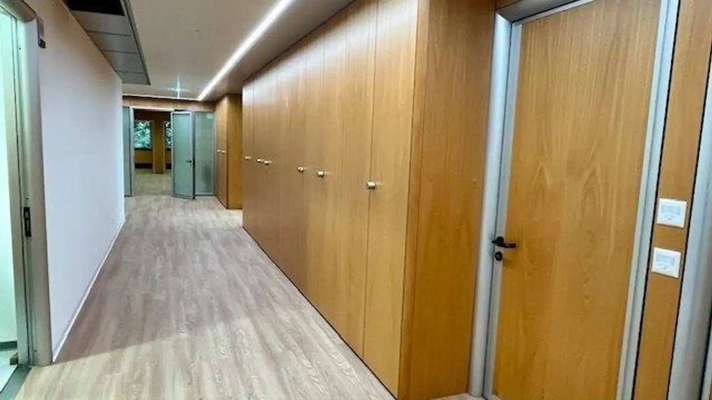 Spazio ufficio in affitto - Via Giuseppe Cattori, 6900 Paradiso - Photo 2