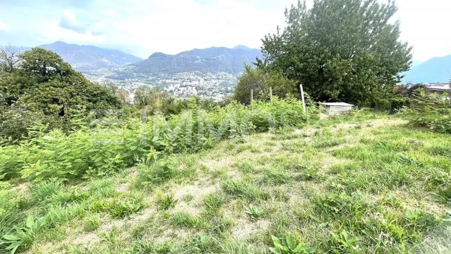 Bien immobilier à vendre - 6832 Pedrinate