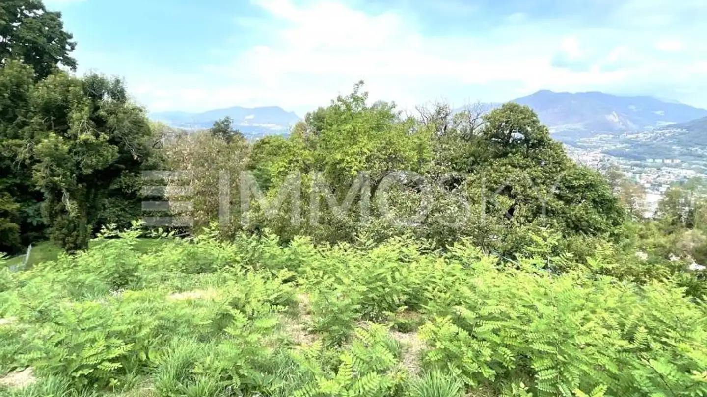 Property for sale - 6832 Pedrinate - Photo 3
