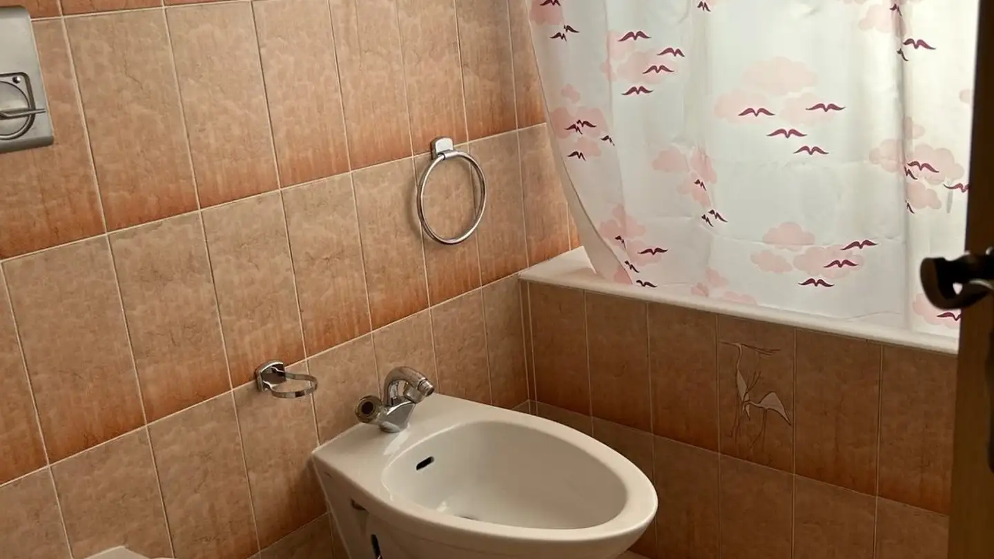 Stanza singola in affitto - Via Alla Motta 47, 6517 Arbedo - Photo 3