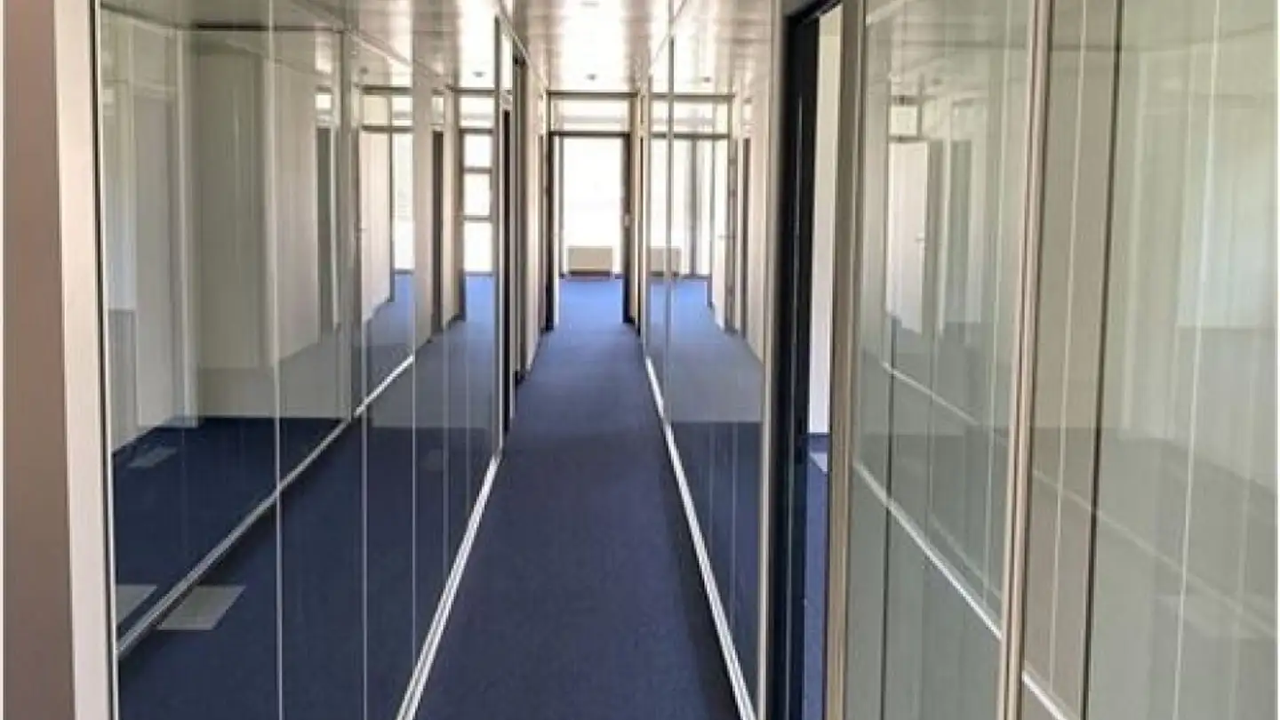 Mischgenutztes Gebäude kaufen - 6926 Montagnola - Foto 3