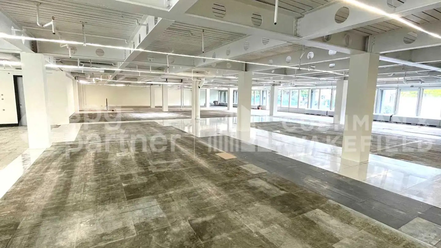 Commercial for rent - Chemin De Roseneck 5, 1006 Lausanne - Photo 2