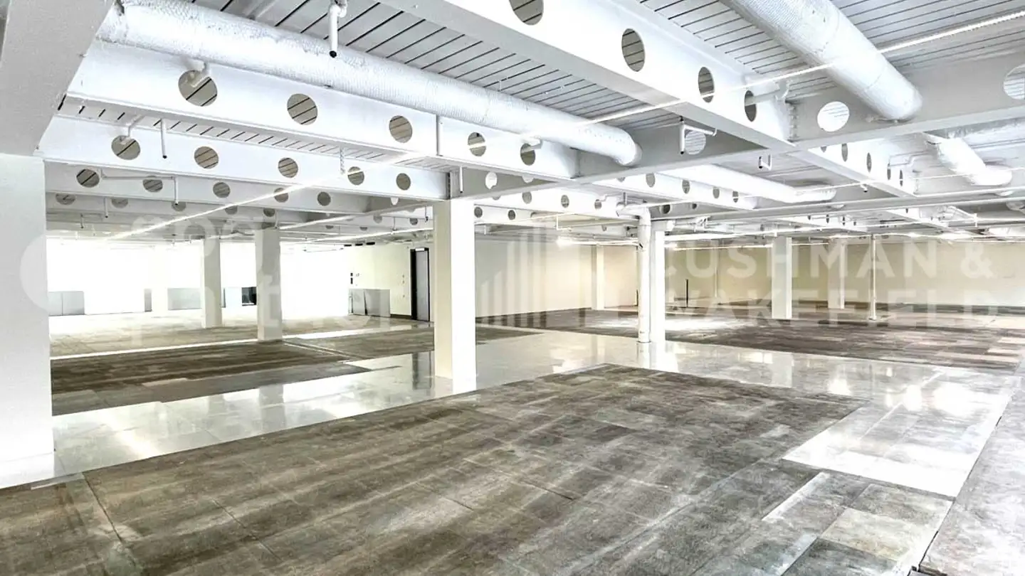 Commercial for rent - Chemin De Roseneck 5, 1006 Lausanne - Photo 4