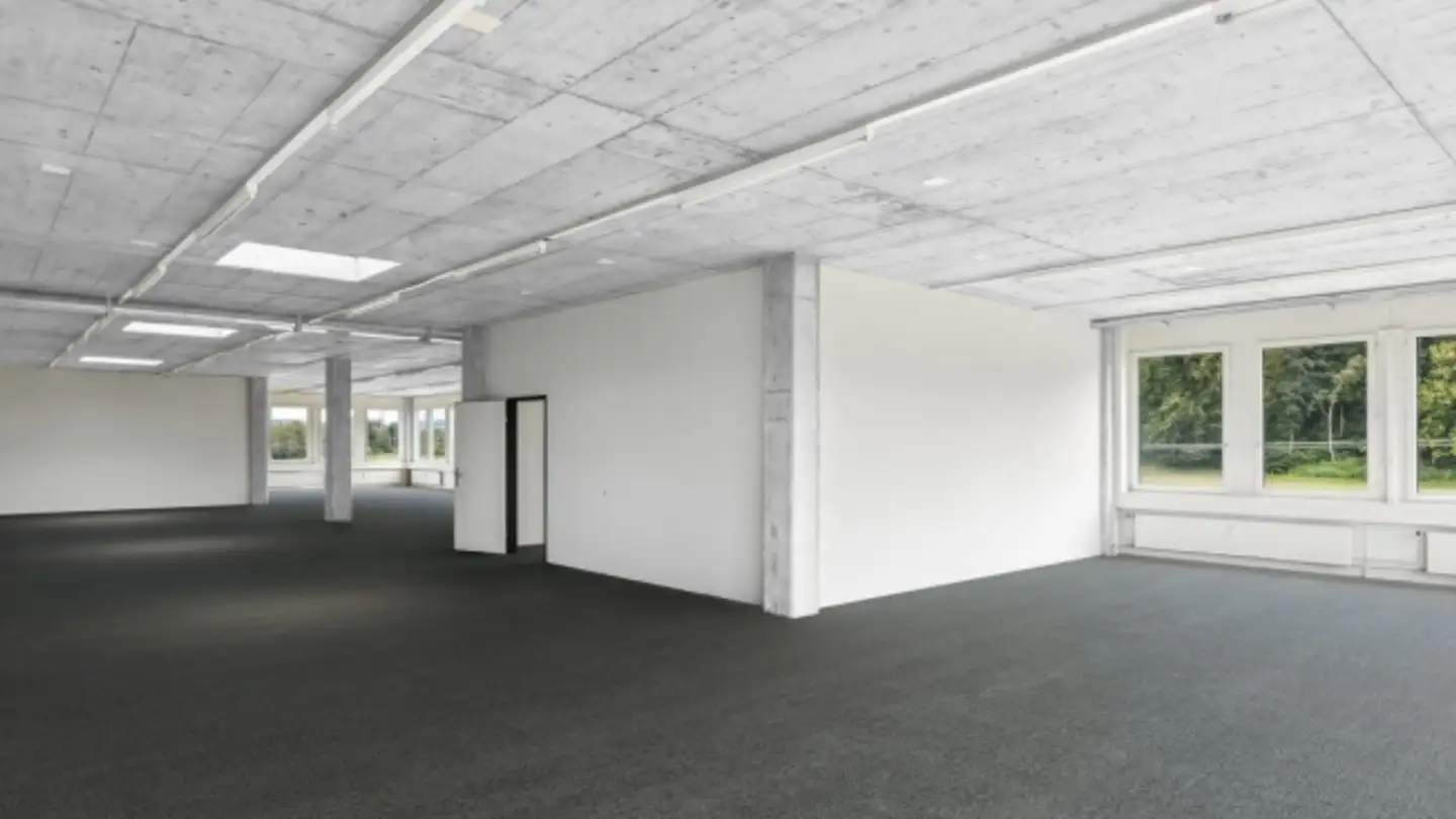 Office space for rent - Siloring 9, 5606 Dintikon - Photo 4