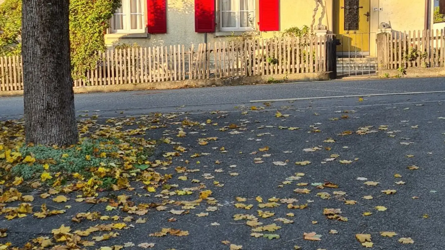 Stanza singola in affitto - Niesenstrasse 2, 3114 Wichtrach - Photo 4