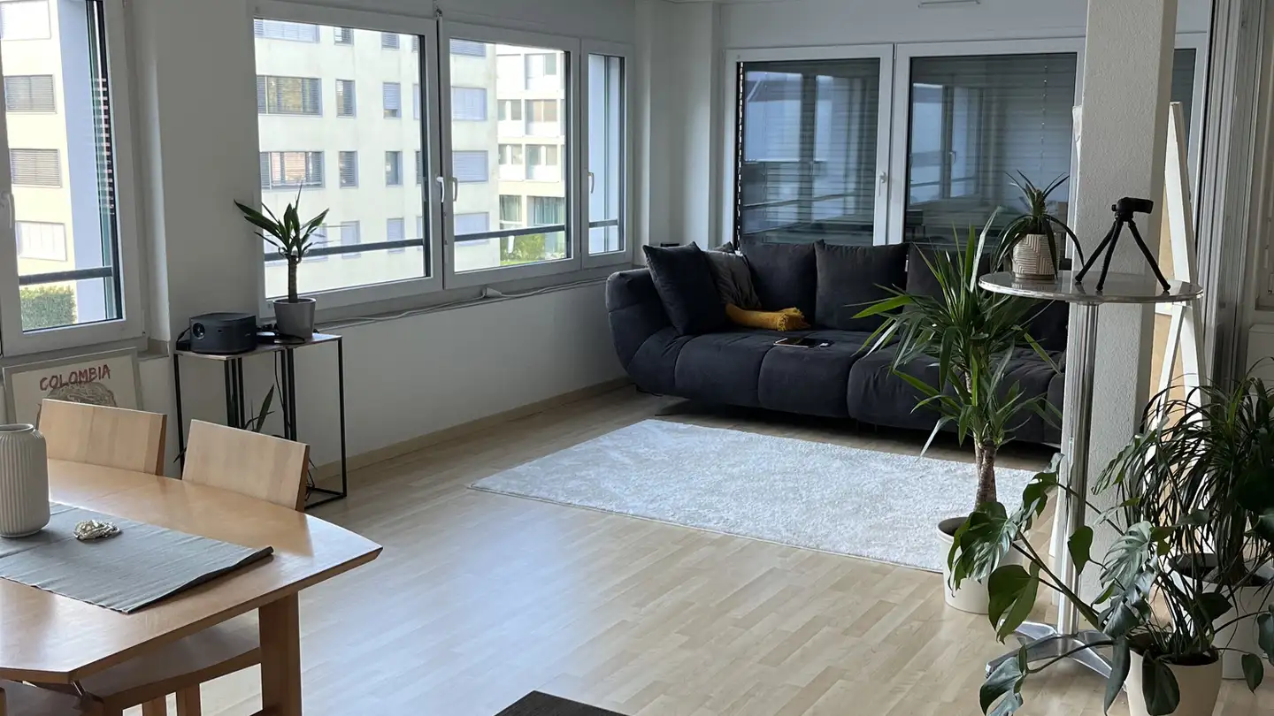 Möblierte Wohnung mieten - 8052 Zürich