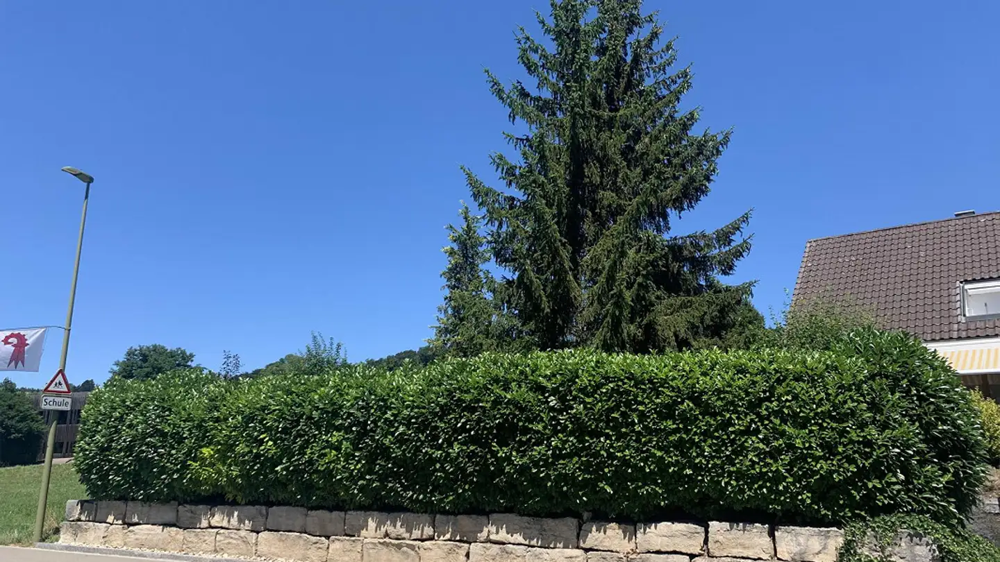 Maison individuelle à louer - Fraumattenstrasse 37, 4105 Biel-Benken BL - Photo 2