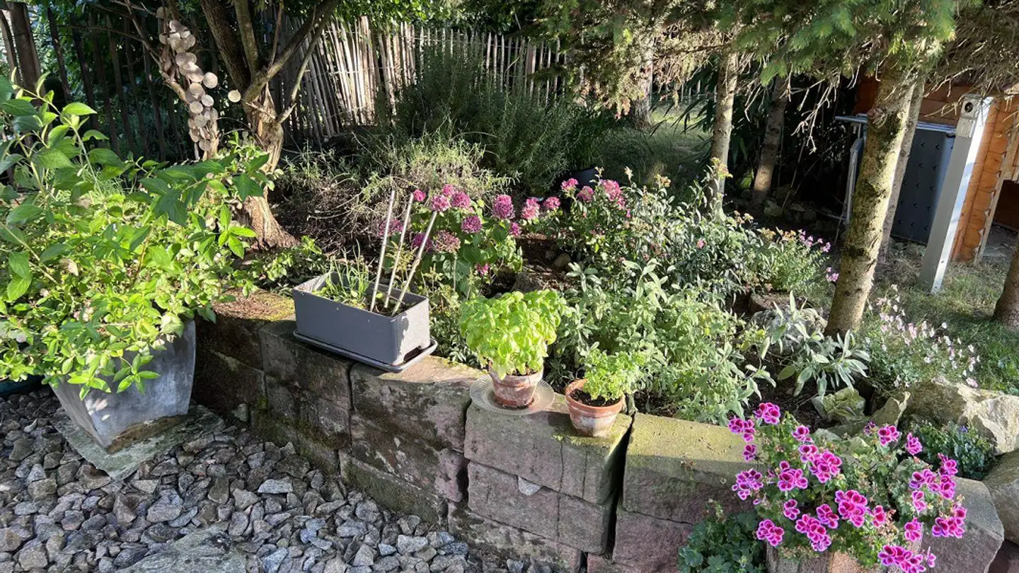 Maison individuelle à louer - Fraumattenstrasse 37, 4105 Biel-Benken BL - Photo 4