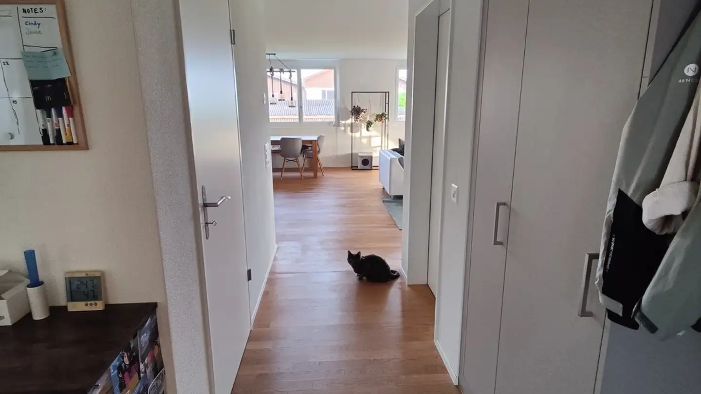 Single room for rent - Hauptstrasse 3b, 5618 Bettwil - Photo 3