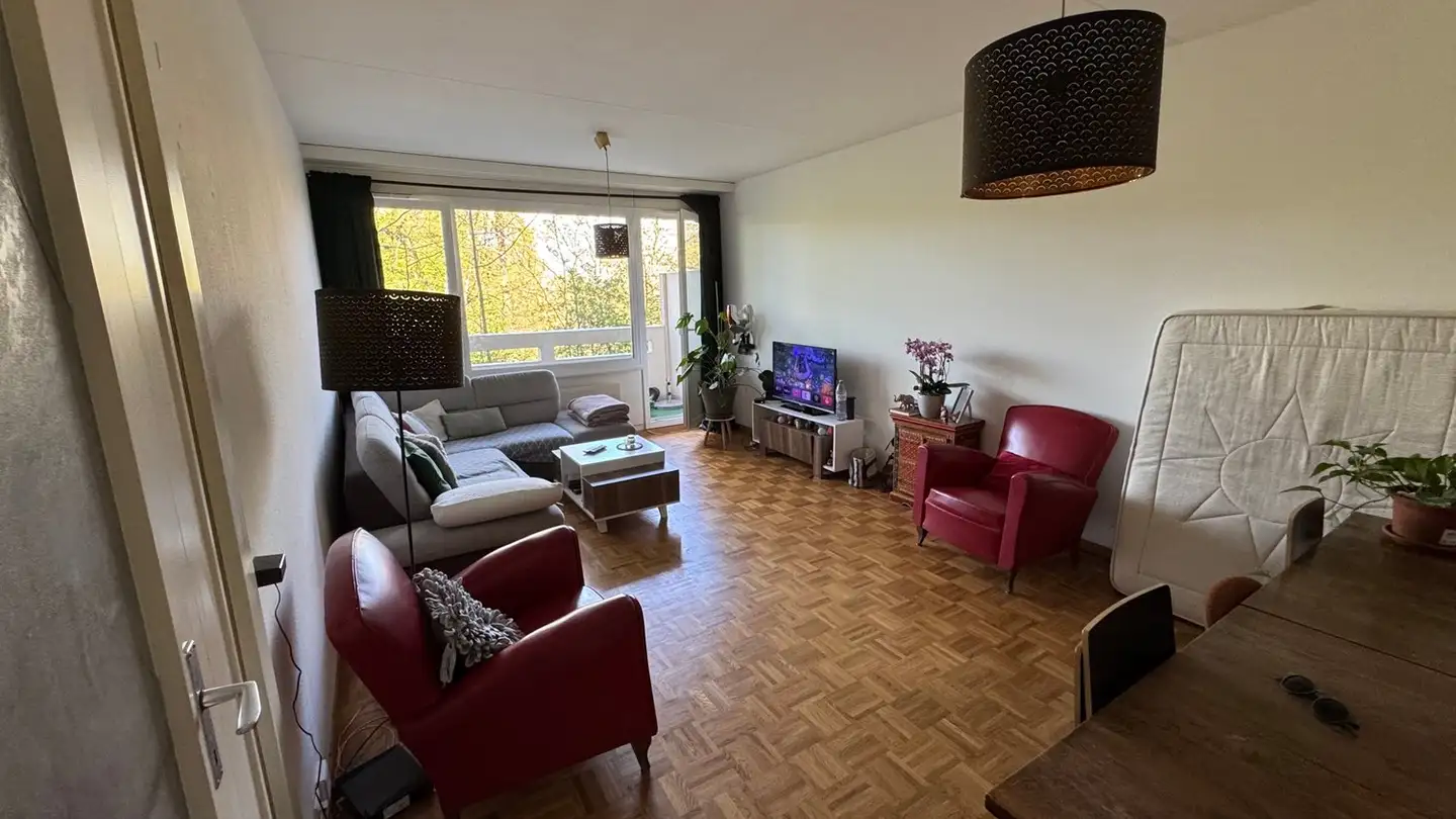 Appartement à louer - Chemin Du Fief-De-Chapitre, 1213 Petit-Lancy