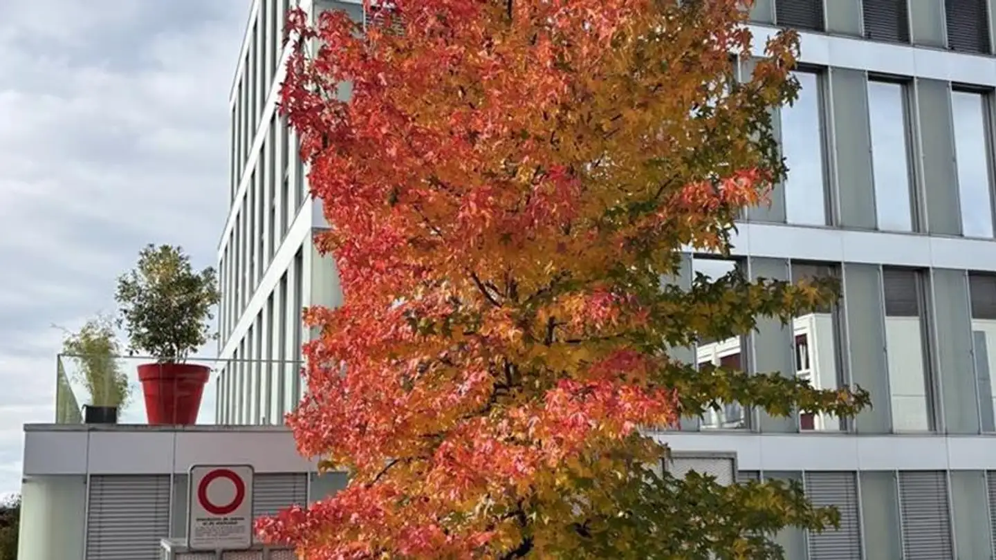 Bürofläche mieten - 1018 Lausanne