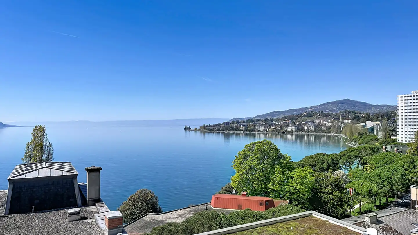 Gewerbe mieten - Avenue Des Alpes 29, 1820 Montreux - Foto 2