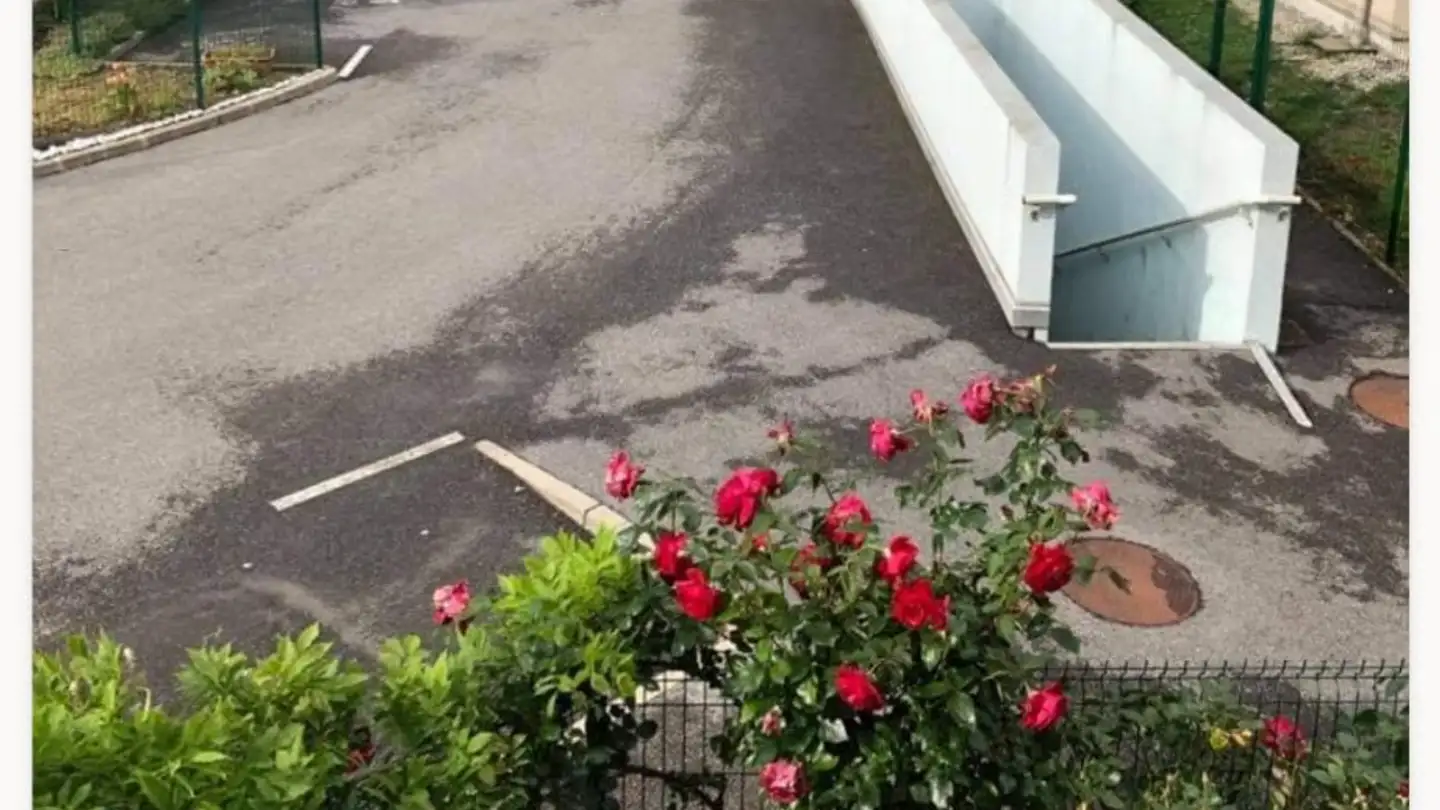 Single room for rent - 1225 Chêne-Bourg