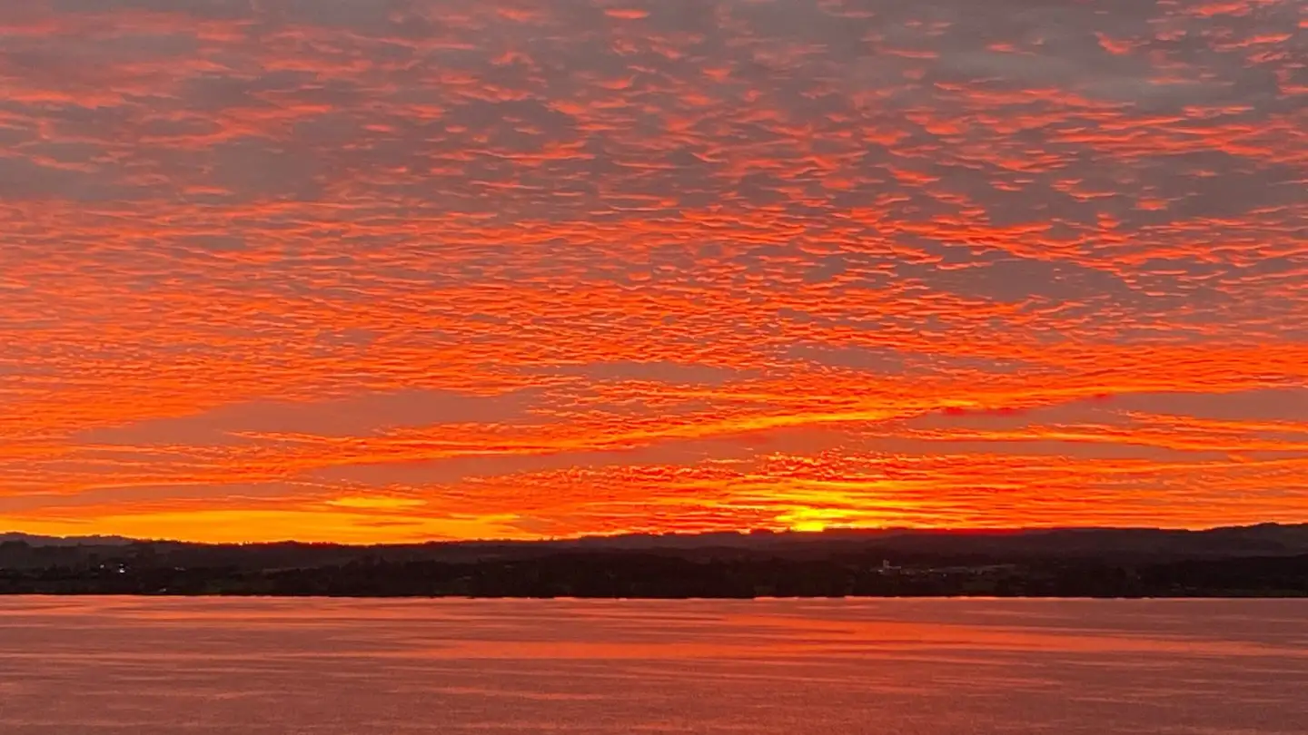 Appartement à louer - Hofstrasse, 6300 Zug - Photo 2