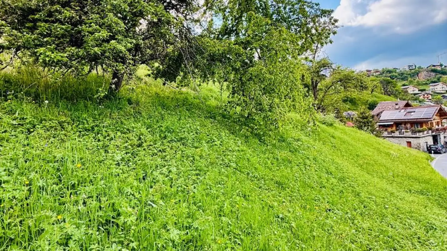 Terrain constructible à vendre - 1981 Vex - Photo 3