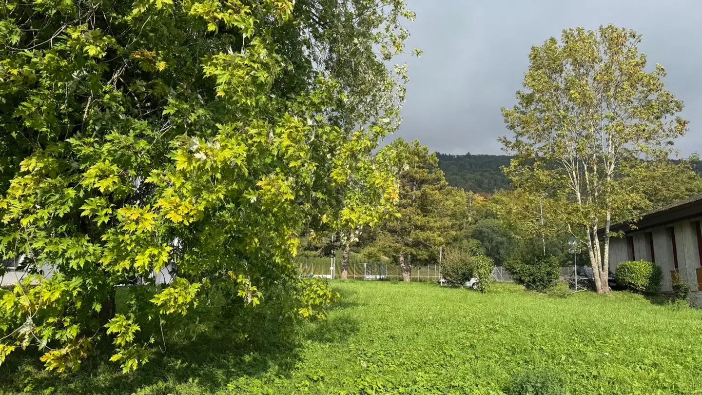Bauland kaufen - Rue Des Prélards 17, 2088 Cressier NE - Foto 3