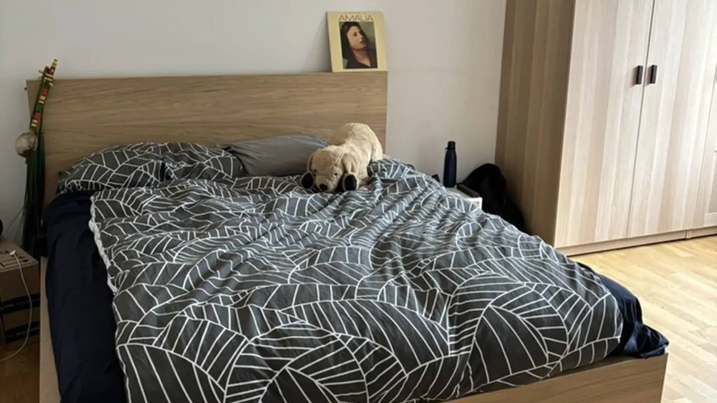 Chambre à louer - 8049 Zürich - Photo 2