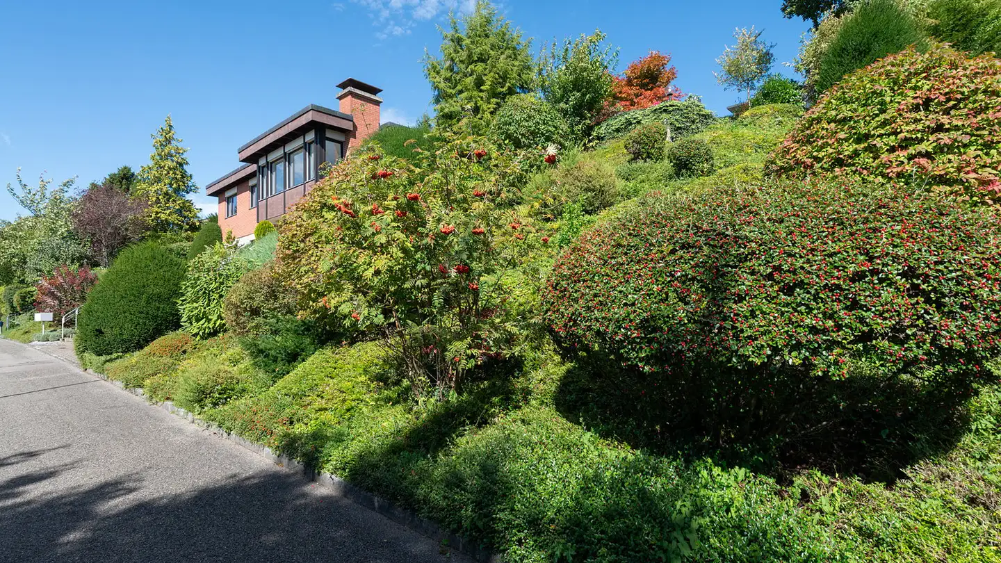 Casa singola in vendita - Im Rebberg, 8967 Widen - Photo 3