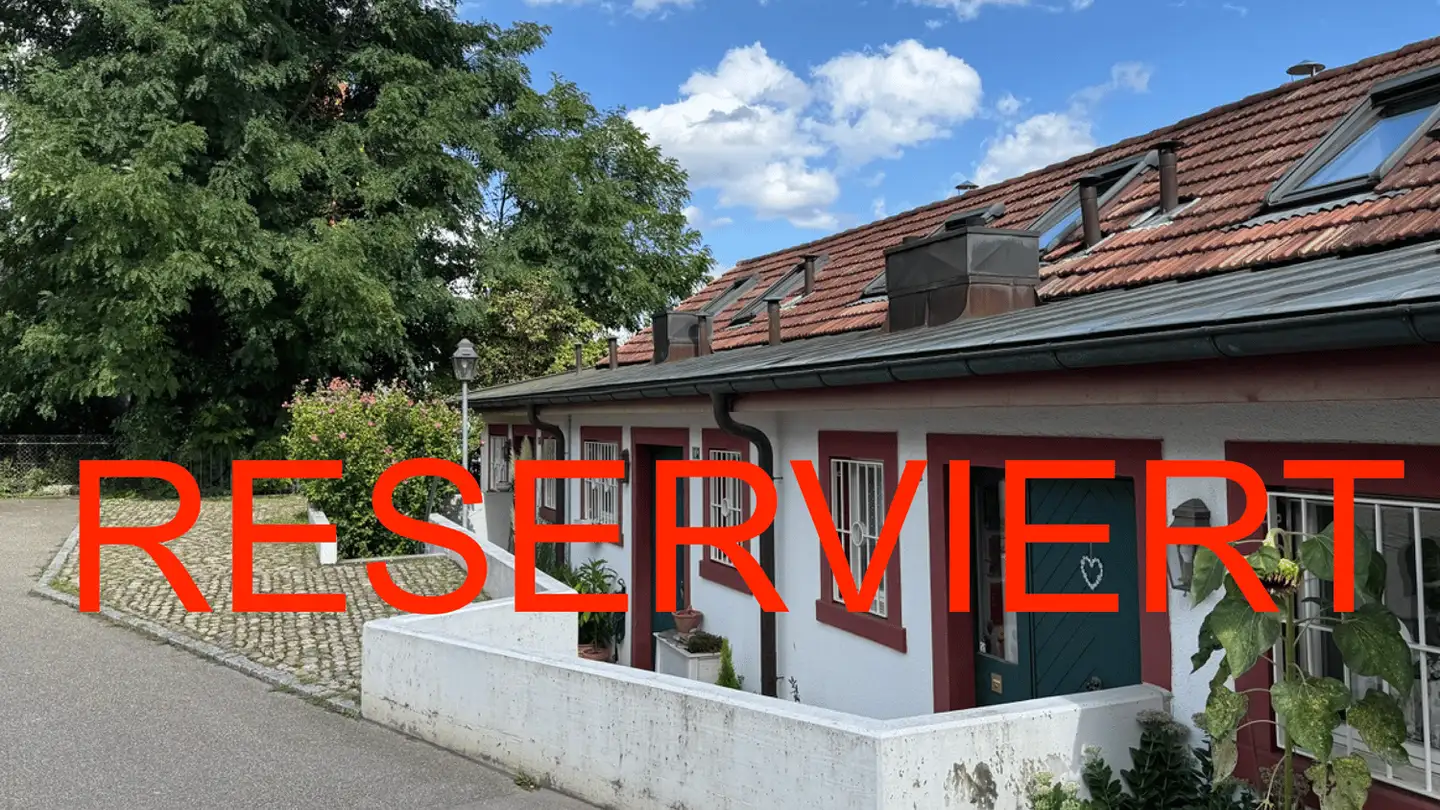 Row house for sale - 4102 Binningen