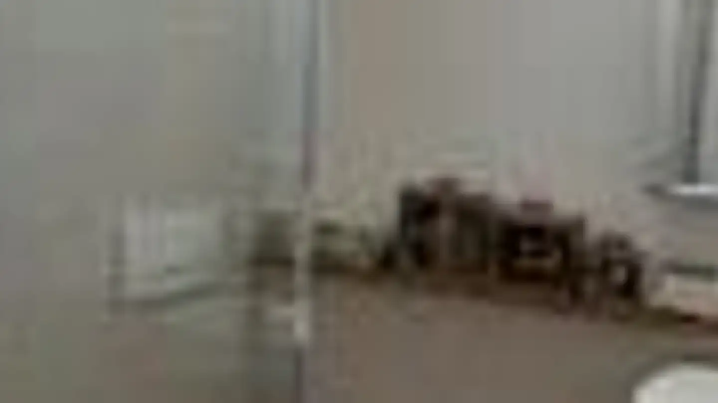 Atelier à louer - Scheibenstrasse, 3014 Bern - Photo 2