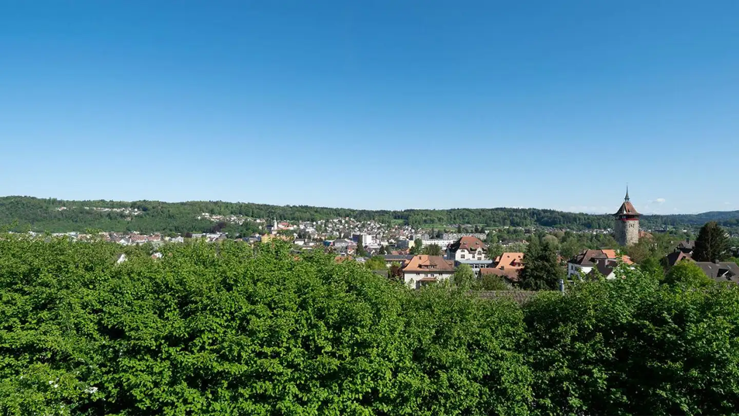 Single house for sale - Stiftsherrenstrasse 39, 5013 Niedergösgen - Photo 2