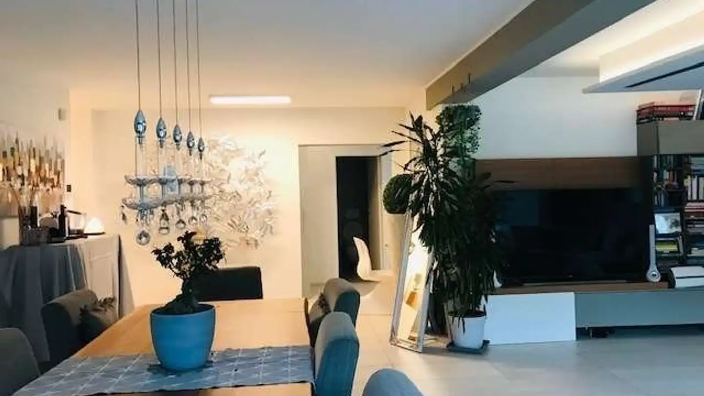 Penthouse for rent - 6945 Origlio - Photo 3