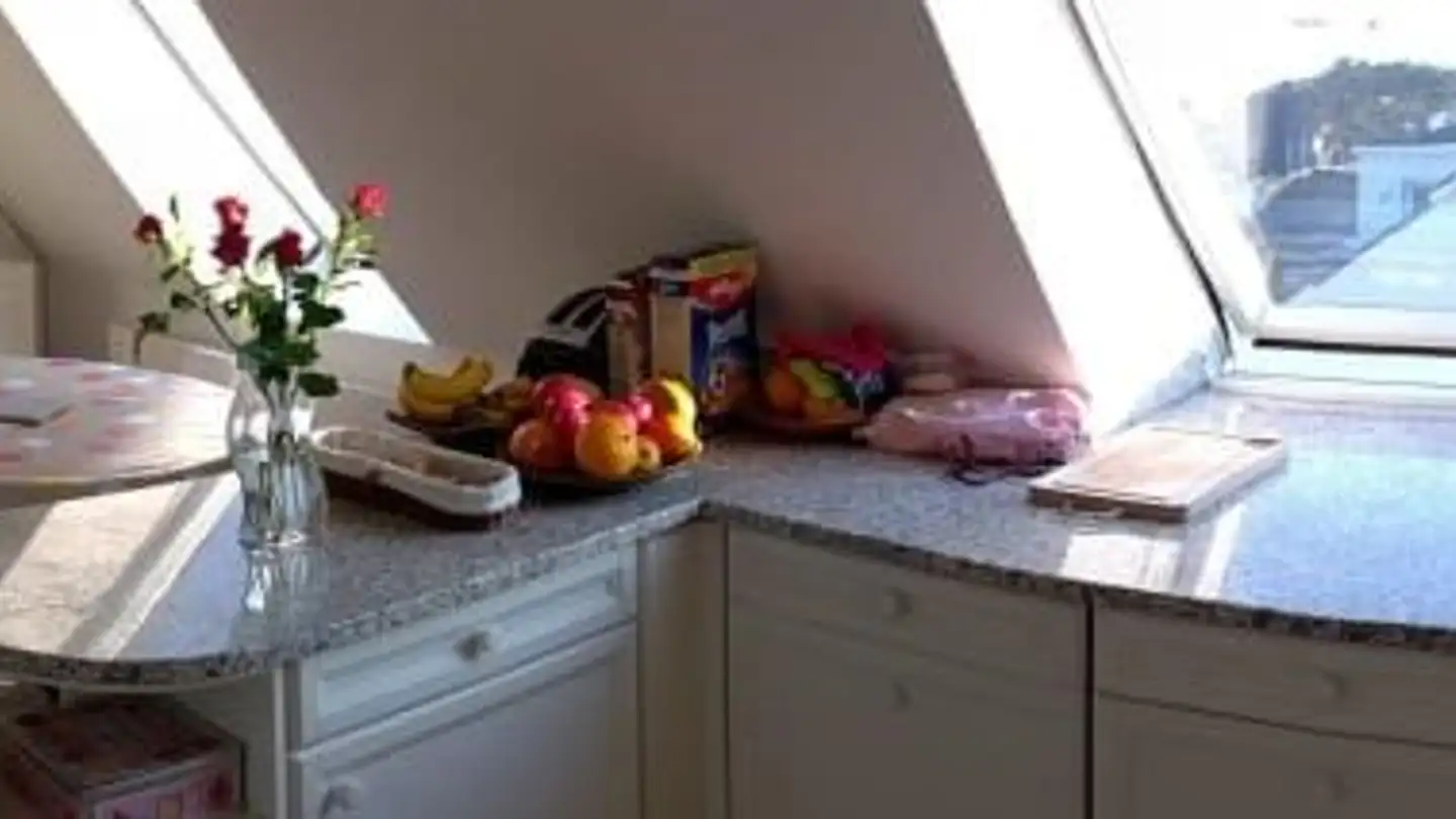 Penthouse for rent - Toblerstrasse 36, 8044 Zürich - Photo 3