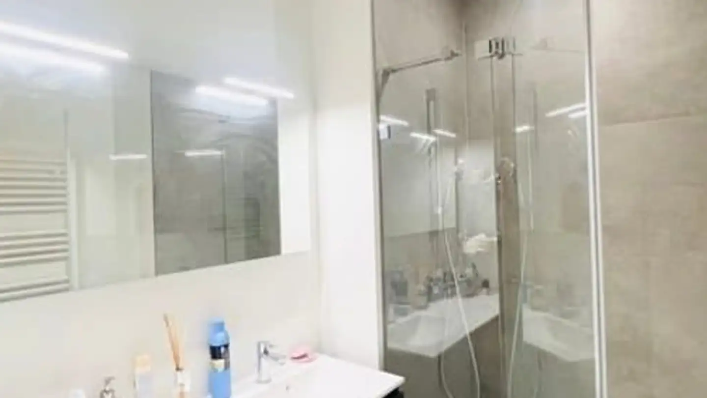 Appartamento in affitto - Rue De Genève 52, 1225 Chêne-Bourg - Foto 4