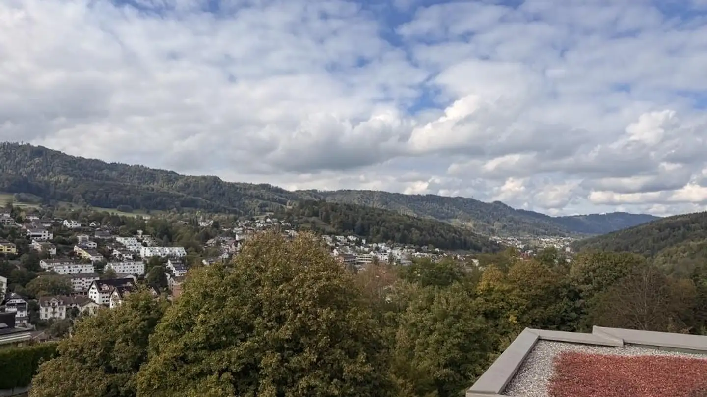 Penthouse mieten - Hofwiesenstrasse 24, 8136 Gattikon - Foto 2